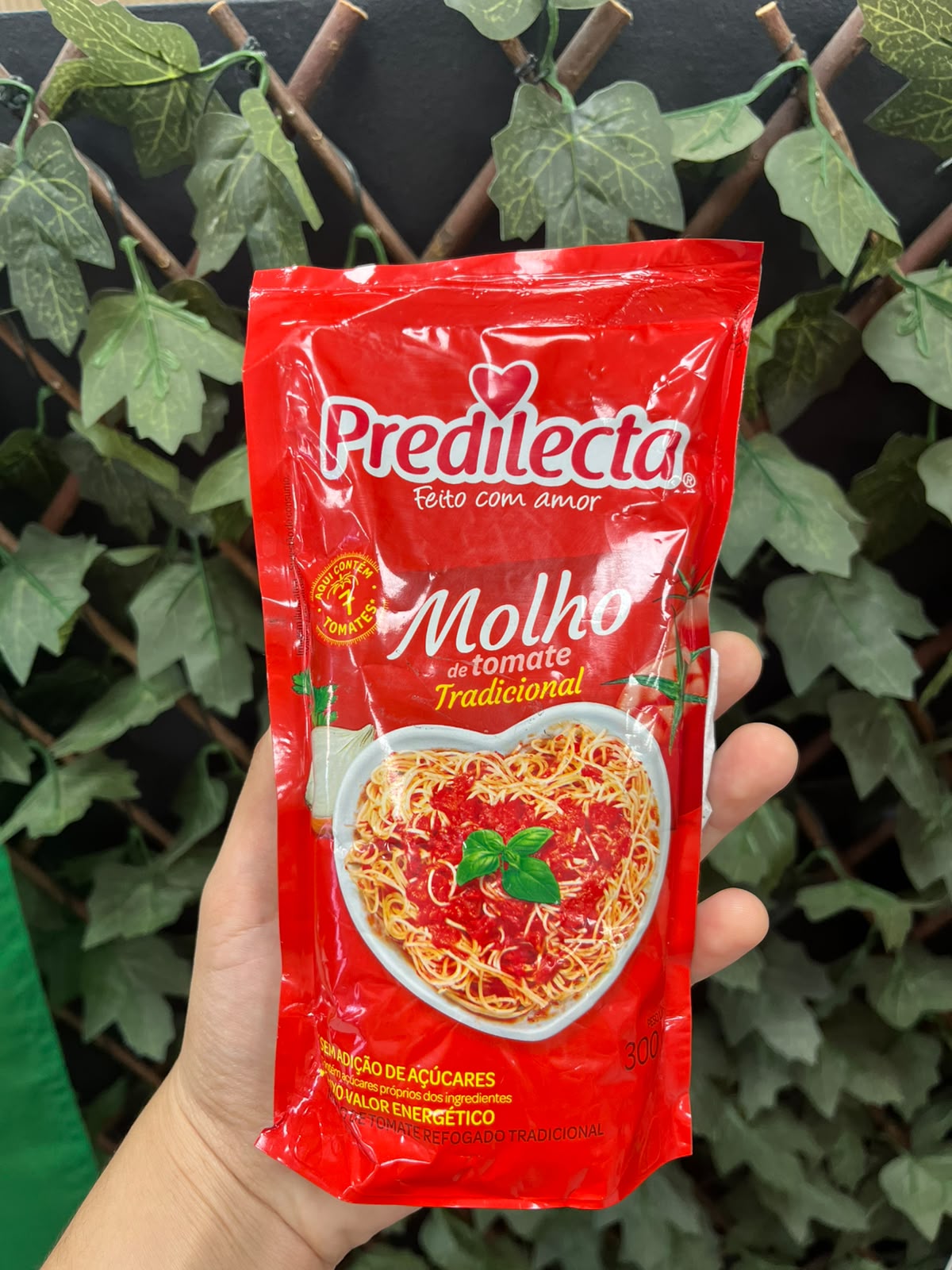 Molho de TOMATE PREDILECTA 308G